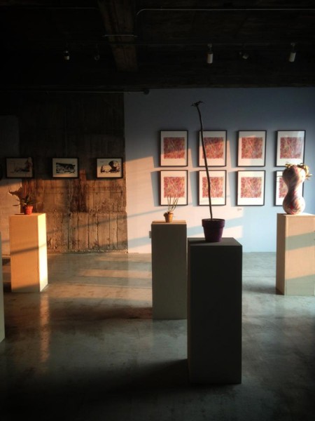 971215_570722612966684_1139417024_n